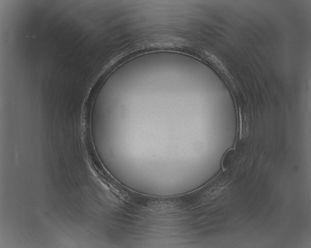 X0000073440435200608181217