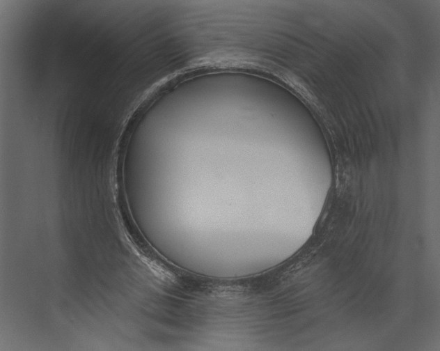 X0000073440438200608181217