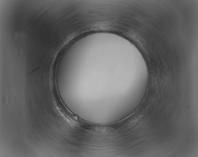 X0000073440439200608181217