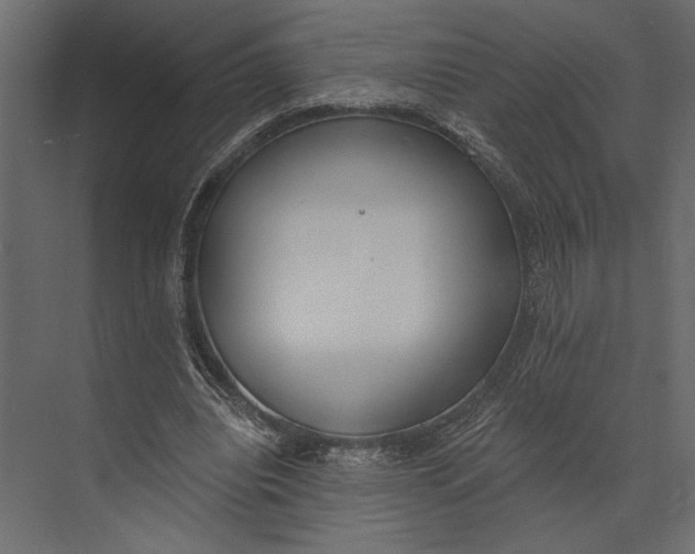 X0000073440440200608181217