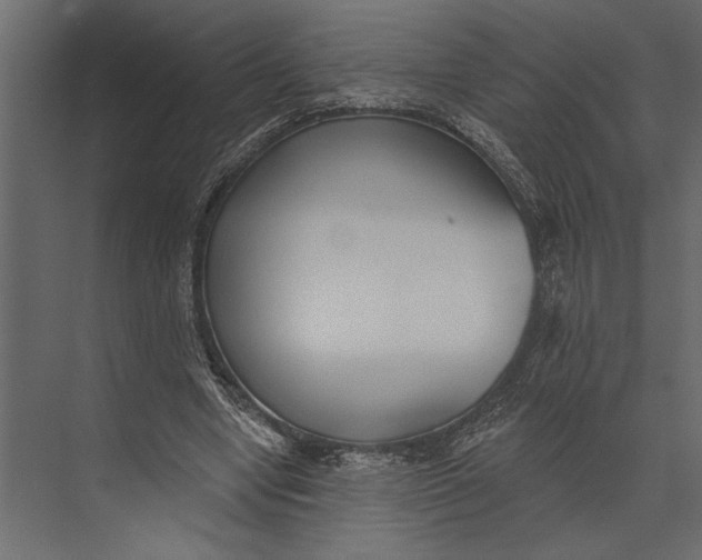 X0000073440442200608181217