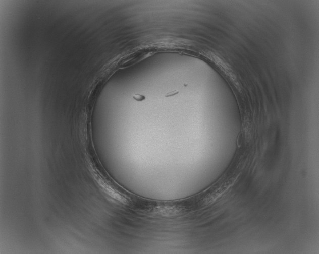 X0000073440445200608181217