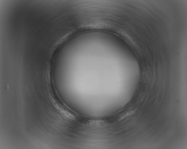 X0000073440446200608181217