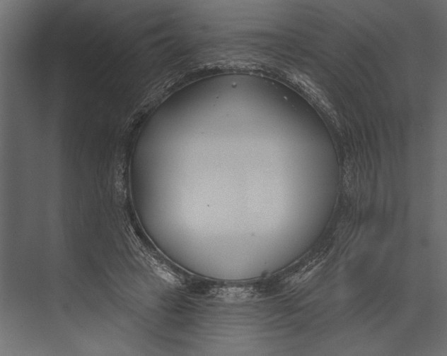 X0000073440449200608181217