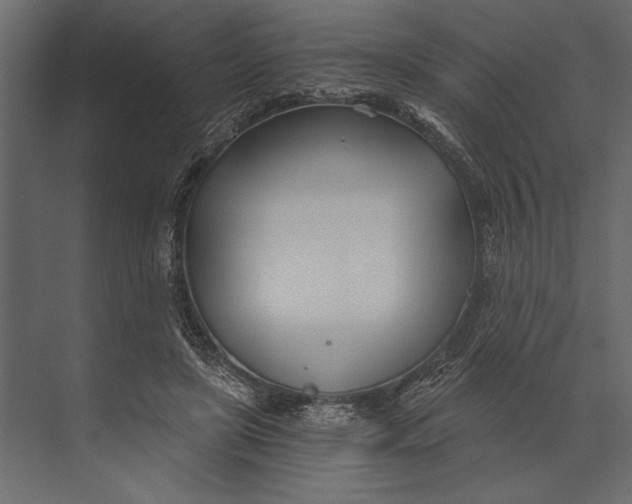 X0000073440451200608181217