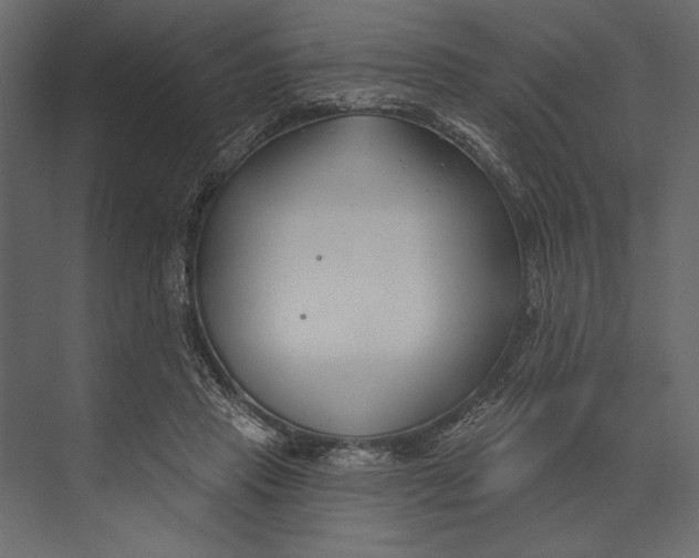 X0000073440453200608181217