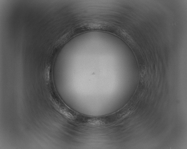 X0000073440454200608181217