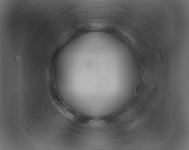 X0000073440455200608181217
