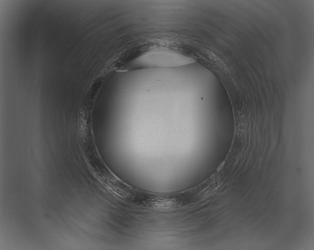 X0000073440456200608181217