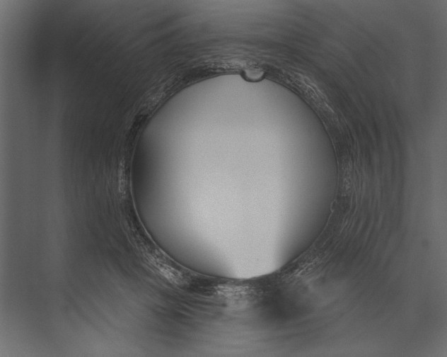 X0000073440457200608181217