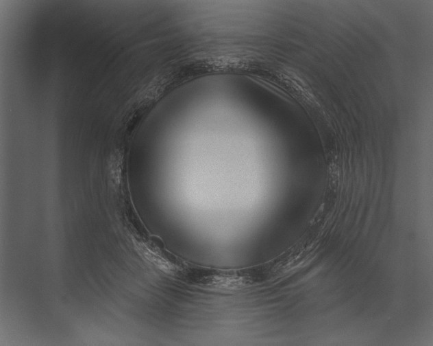 X0000073440458200608181217