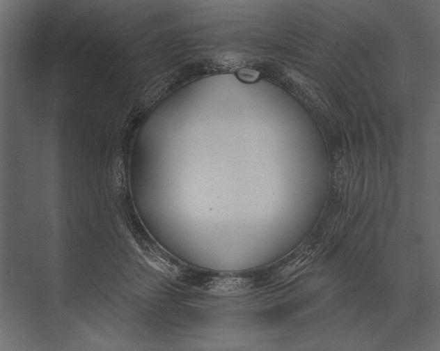 X0000073440459200608181217