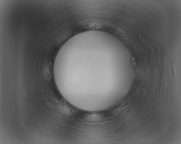 X0000073440460200608181217