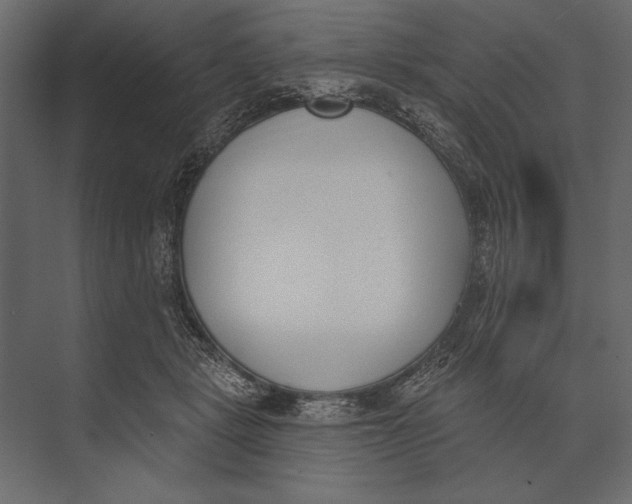 X0000073440461200608181217