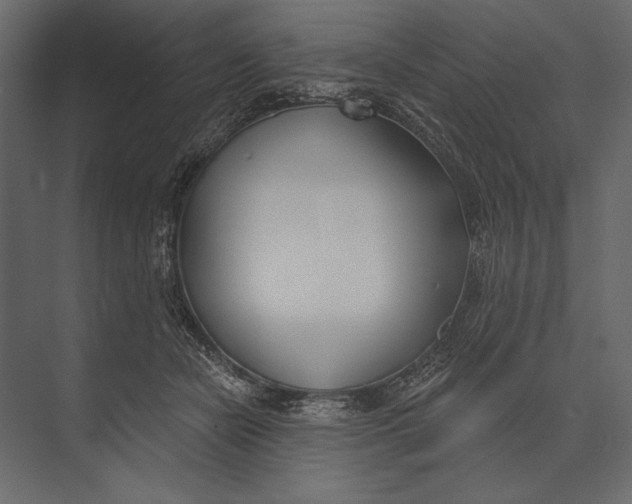 X0000073440462200608181217