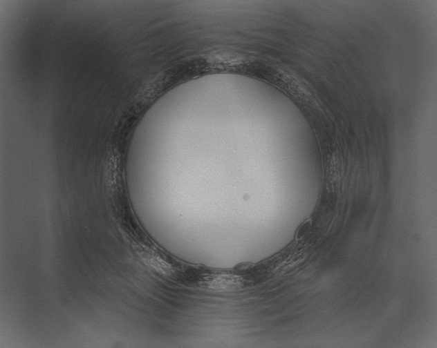 X0000073440463200608181217