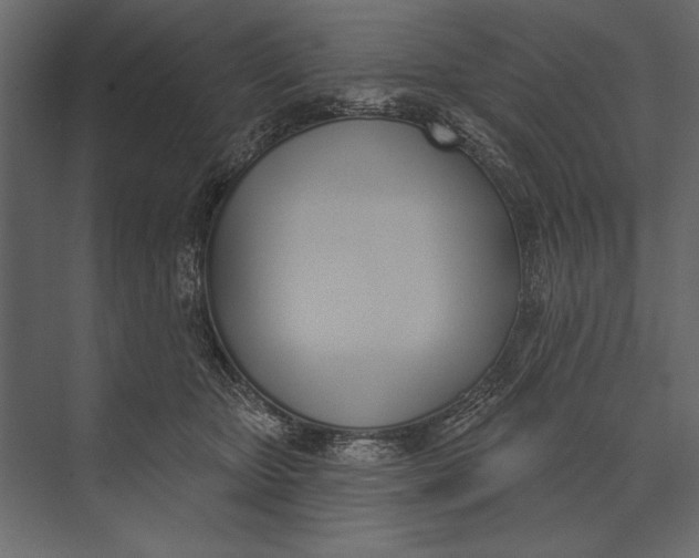 X0000073440467200608181217