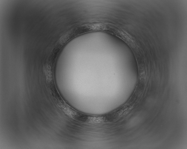 X0000073440469200608181217