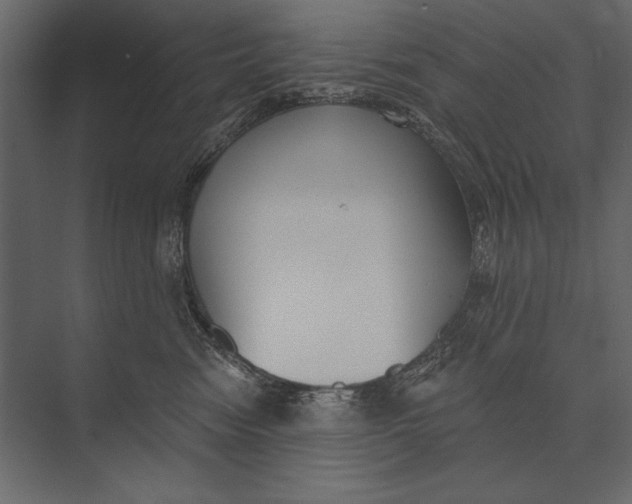 X0000073440474200608181217