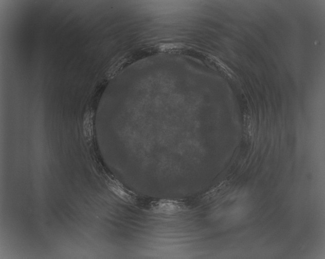 X0000073440475200608181217