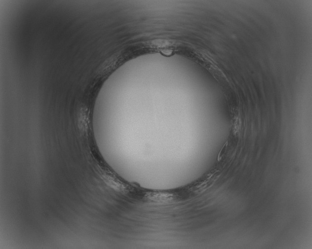 X0000073440476200608181217