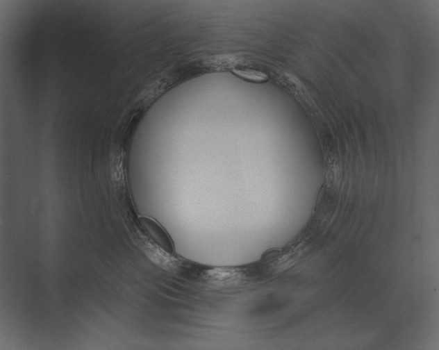 X0000073440477200608181217