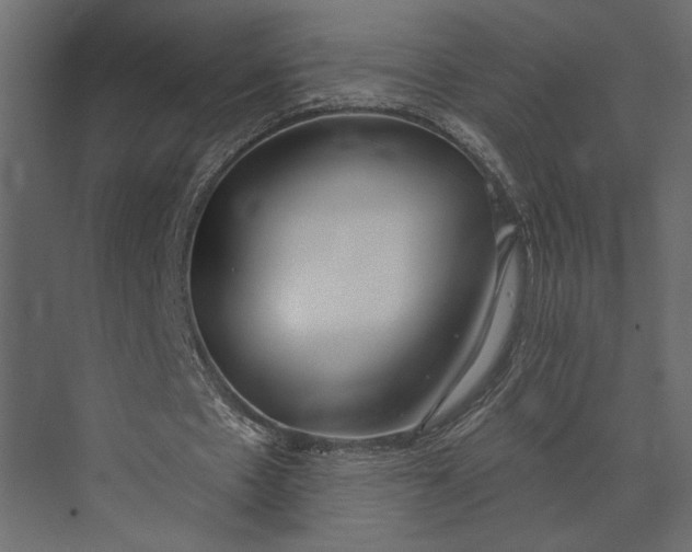 X0000073440481200608181217