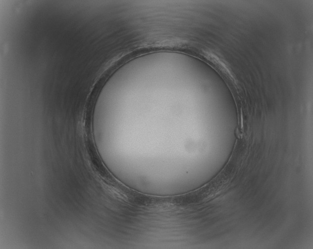 X0000073440483200608181217