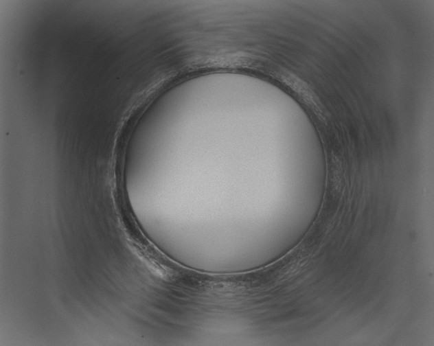X0000073440486200608181217