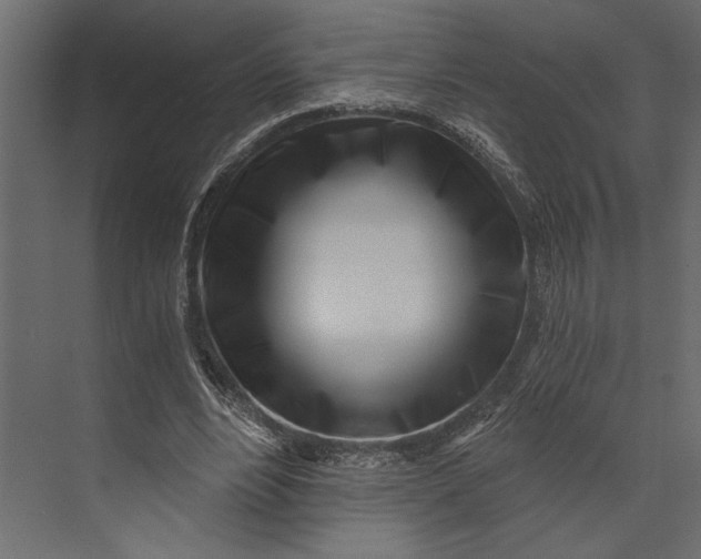 X0000073440488200608181216