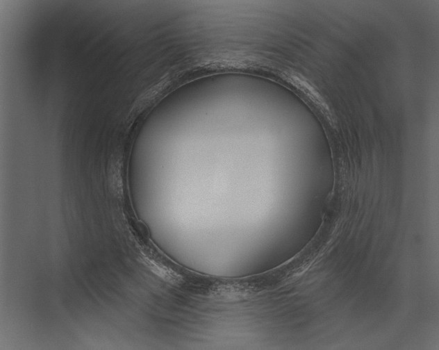 X0000073440489200608181216