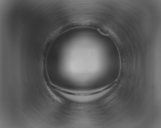 X0000073440493200608181216