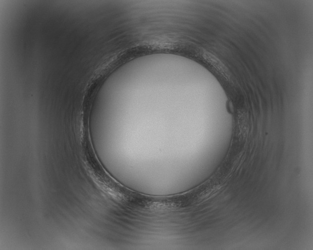 X0000073440494200608181216