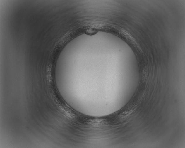 X0000073440497200608181216