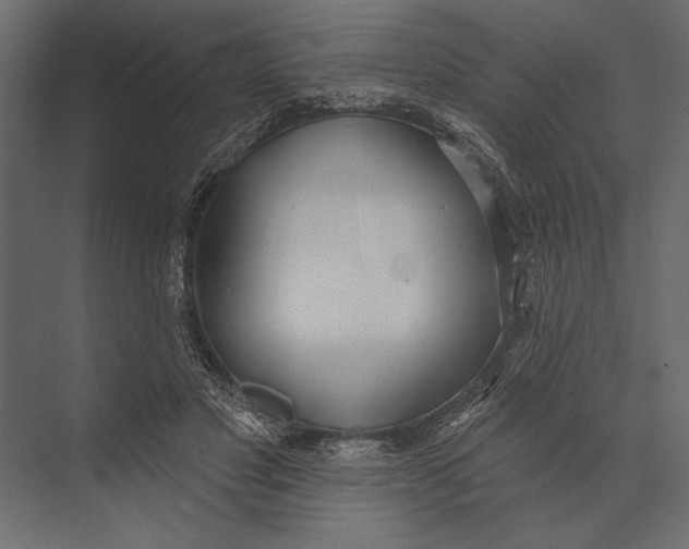 X0000073440501200608181216
