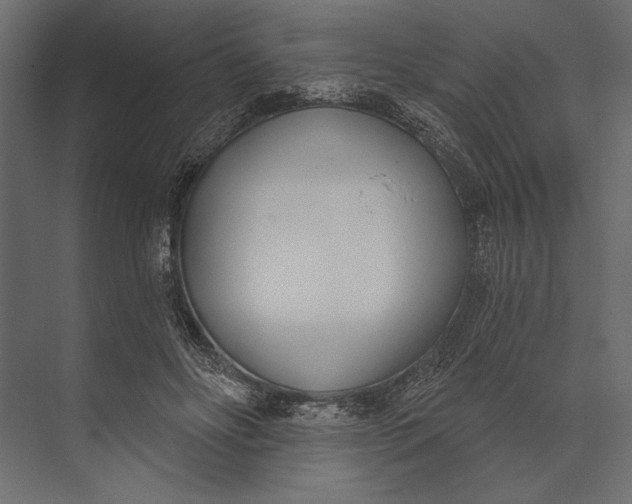 X0000073440502200608181216