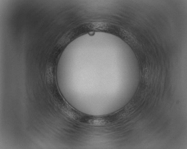 X0000073440506200608181216