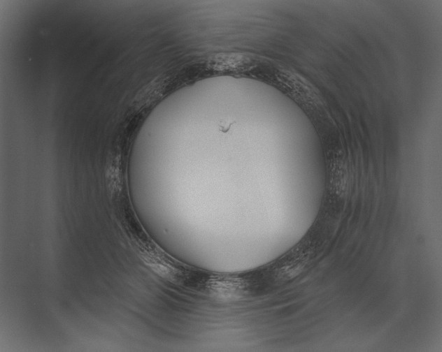 X0000073440510200608181216