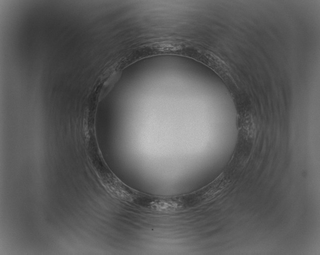 X0000073440512200608181216