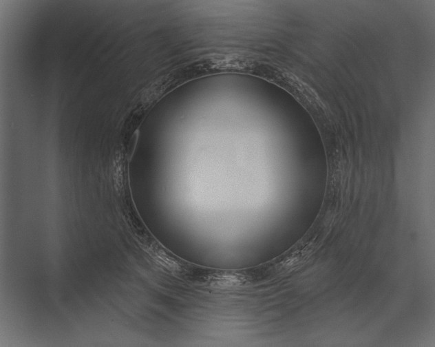 X0000073440513200608181216