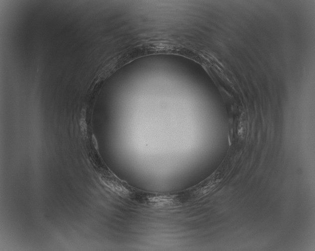 X0000073440516200608181216