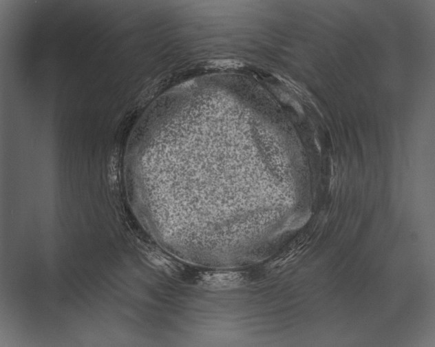 X0000073440517200608181216