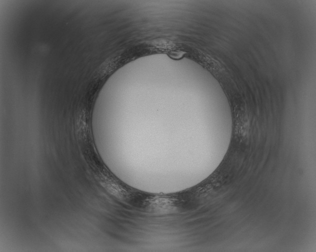 X0000073440518200608181216