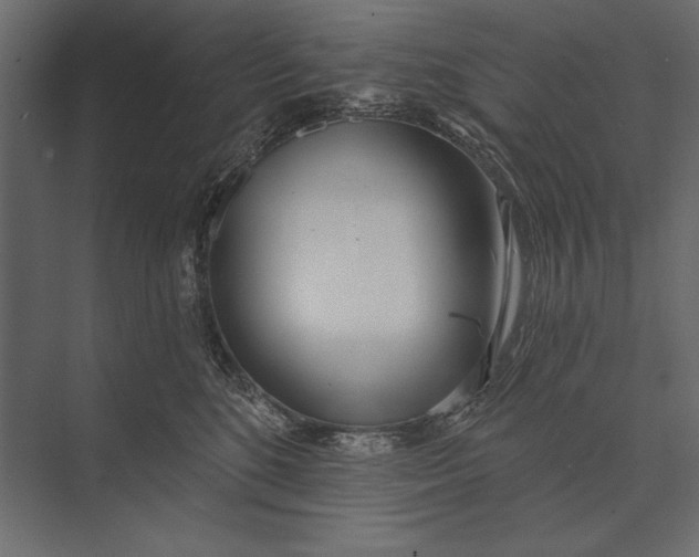 X0000073440520200608181216