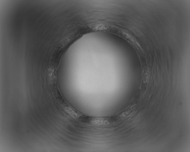 X0000073440521200608181216