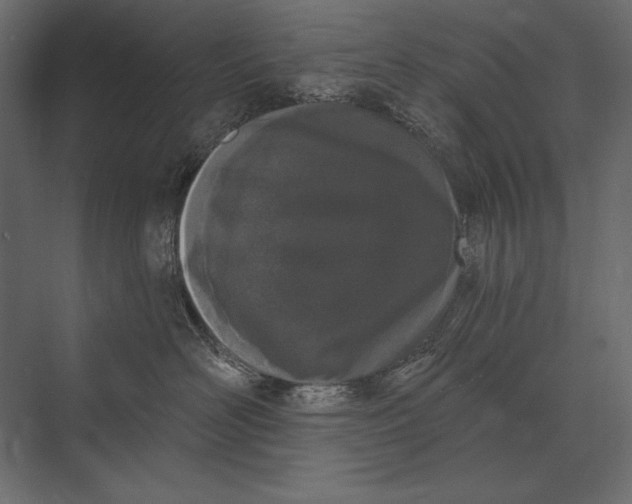 X0000073440526200608181216