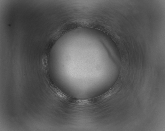 X0000073440528200608181216
