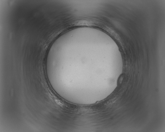 X0000073440529200608181215