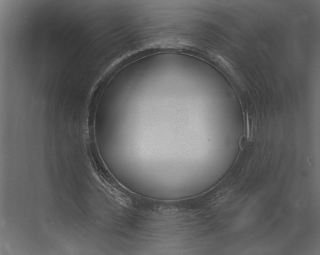 X0000073440531200608181215
