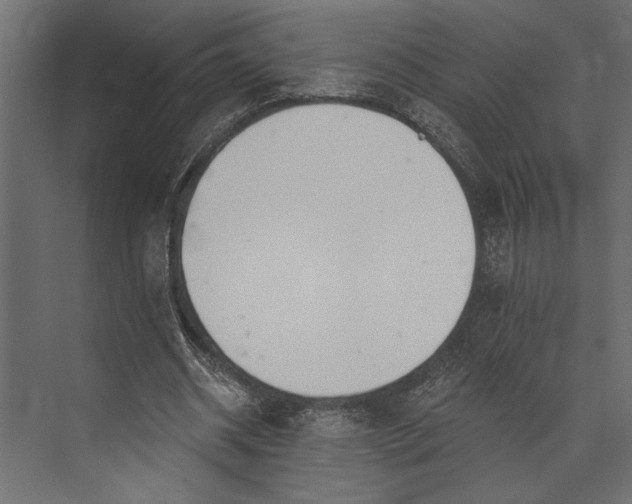 X0000073440534200608181215